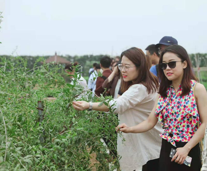 新浪家居“質(zhì)造行”，共證得高品牌力量，推動(dòng)品質(zhì)持續(xù)升級(jí) 圖片2