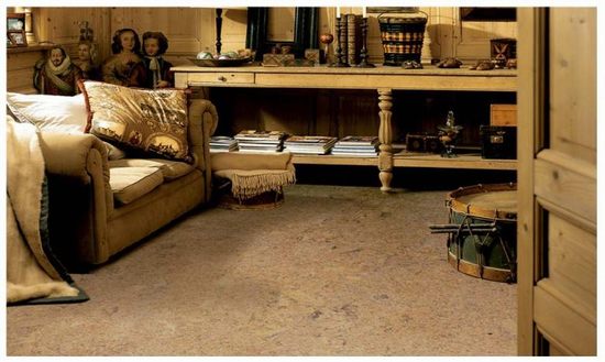 得高軟木地板裝修風格欣賞 大小戶型都適合 得高軟木地板裝修風格欣賞 大小戶型都適合