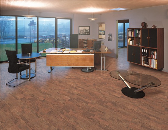 掌握軟木地板冬季保養(yǎng)技巧,輕松延長使用壽命 掌握軟木地板冬季保養(yǎng)技巧,輕松延長使用壽命